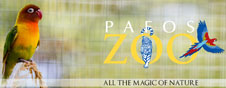 Pafos Zoo 
